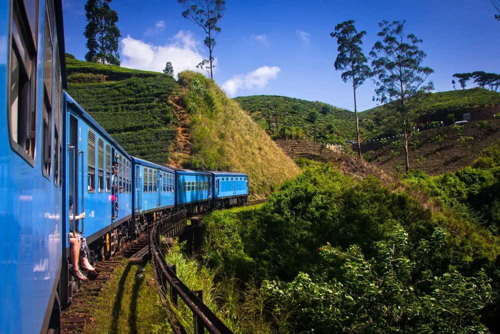 Nuwara Eliya Things to Do